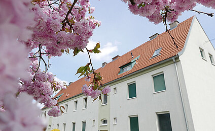Bruck/Mur, Neubaugasse - Mietwohnung